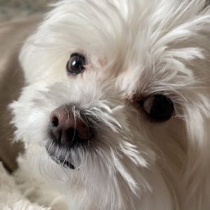 Meet your Posher, Robyn